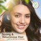 Organic Harvest Organic Amla Oil with Ginseng 150 ml - Hair Oils