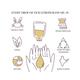 Essentia Extracts Lemongrass Essential Oil 15 ml - Essential Oils