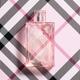 Burberry Brit Sheer for Her EDT 100 ml - Women Perfumes (Edt/Edp)