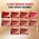 Lakme Double Duty Lip & Cheek Mousse Matte Lipstick & Soft Blush, Coffee Lite,9gm - Liquid Lipsticks