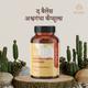 Balance Ayurveda The Balance Ashwagandha Capsules 60's - Speciality Medicines
