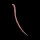 Essence Soft Contouring Lipliner-03 1.4 gm - Lip Liners