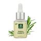 Organic Harvest Rosemary Essential Oil 30 ml - Essential Oils
