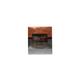 Lattafa ROSE KASHMIRI Long Lasting Imported Eau De Perfume 100 ml - Perfumes (Edt/Edp)
