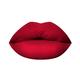 PAC Timeless Matte Bite 6.5 ml - Liquid Lipsticks