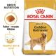 Royal Canin Golden Retriever Adult 3 Kg - Petfood