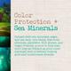 Maui Moisture Color Protection + Sea Minerals Shampoo 385 ml - Shampoos