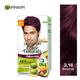 Garnier Color Naturals Men Creme Riche - 3.16 Burgundy (35 ml + 30 gm) - Crème