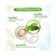 Mamaearth Green Tea Day Cream With Green Tea & Collagen For Open Pores 50 gm - Creams/Oils/Lotions