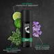 Beardo Legacy 150ml and Godfather 150ml Perfume Deo Spray for Men Combo 1's - Men Deodorants/Roll-Ons