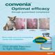 CONVENIA (VET) Injection 10ml - Veterinary-Pharma