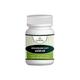 Pravek Arshoghni Vati (S.Y.S) Tablets 40's - Diabetes Care (Ayush)