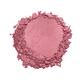 Swiss Beauty Professional Blusher - (Deep Pink) 6 gm - Blushes
