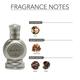 Ajmal Tempest Concentrated Perfume Oil Floral Alcohol For Unisex And Musk Rose Concentrated Perfume Oil Floral Musky Alcohol For Unisex 24 ml - Perfumes (Edt/Edp)