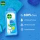 Dettol Long Lasting Hygiene Body Wash - Cool 250 ml - Shower Gels & Body Wash