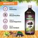 Swadeshi Triphala Jamun Ras Liquid 500 ml - Ayurvedic Juices