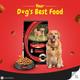 Nestle Purina Supercoat Adult With Chicken Dog Food 2.5 kg - Petfood