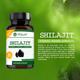 Vitawin Shilajit Capsule 60's - Others