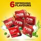 Ryze 2mg Nicotine Gums - Assorted (Fruit Blast, Frosty Mint, Royal Paan, Fresh Fennel, Cola & Paan Masala) (Pack of 6 x 9's) - Nicotine Gums/Lozenges