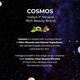 Cosmos by Bewakoof Mineral Peel Off Mask with Silver & Plum 50 gm - Masks & Peels