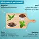 Aryanveda Face Pack - Neem & Tulsi 400 gm - Face Creams