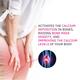 Calquest Capsule 15'S - Supplements-Vam