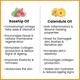Keya Seth Aromatherapy Rosehip Body Oil, Glowing, Ageing and Brighter Skin, Reduces Stretch Marks, Scars 200 ml - Massage Oils