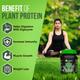 Fitspire 100 Percent Plant Protein Made With Pea Protein Chocolate 500 gm - Protein Drink