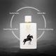 Denver Victor Perfume Long Lasting Eau De Parfum for Men 100 ml - Men Perfumes (Edt/Edp)