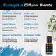 Organic Forest 100% VEGAN Eucalyptus Essential Oil 10 ml - Essential Oils