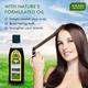 Amla Cool Oil with Brahmi & Amla Extract 200 ml - Hair Oils