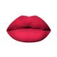 PAC Timeless Matte 12H Longlasting Rich Pigment One Swipe Payoff Smudgeproof - Velvet Crush (6.5 ml) - Liquid Lipsticks