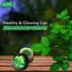 Lip Balm - Mint 10 gm - Lip Balms