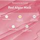 Belora Paris Red algae skin repair mask 100 gm - Face Packs