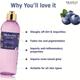 The Love Co. Luxury Blueberry Pancake Body Wash - Bath & Shower Gel for Men & Women - All Skin Types - 100% Vegan 250 ml - Shower Gels & Body Wash