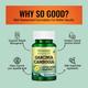 Morpheme Remedies Garcinia Cambogia Veg Capsule 60's - Herbal Dietary Supplement