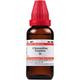 Dr.Willmar Schwabe Chionanthus Virginica  Drops 30 ml - Homeopathic Drops