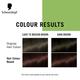 Schwarzkopf Simply Colour Permanent Hair Colour For 100% Grey Coverage - 4.68 Chestnut Brown 142.5 ml - Crème