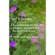 Organic Harvest Geranium Essential Oil 10 ml - Essential Oils