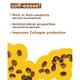 Anatomicals Coffee Buzz Body Cleanser 300 ml - Shower Gels & Body Wash