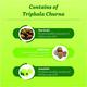 Baidyanath Triphala Churna 500 gm - Digestive Care