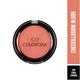 Colorbar Cheekillusion Blush New Coral Craving 009 4 gm - Blushes