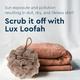 Gubb Exfoliating Bath Loofah - Pebble 1's - Loofahs & Sponges