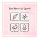 The Beauty Co. Peel Off Glow Face Mask - Green Tea & Aloe Vera 100 gm - Masks & Peels