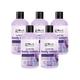 Globus Naturals Lavender Bliss Body Lotion, 200ml each 5's - Creams, Lotions & Oils
