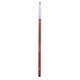 Daily Life Forever52 Eyeshadow And Eyeliner Brush Px007 1'S - Eye Brush