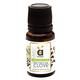Anveya Clove Essential Oil 15 ml - Essential Oils