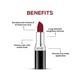 RENEE Stunner Matte Lipstick - Free Spirit 4 gm - Lipsticks