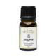 Clovia Botaniqa Pure Eucalyptus Essential Oil 10 ml - Essential Oils