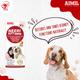 AIMIL Neeri KFT PET Liquid 200 ml - Pet Healthcare